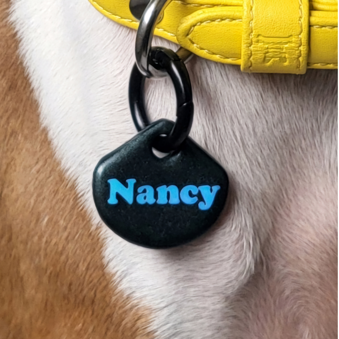 Custom dog or cat ID tag in midnight black