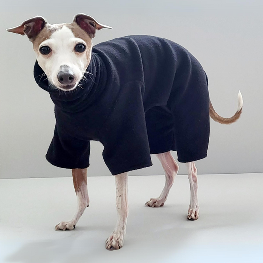 Italian greyhound suit, 4-leg relaxed fit in Black (without sleeve cuffs)